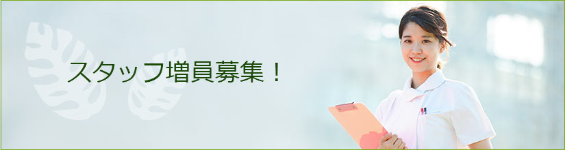 スタッフ募集